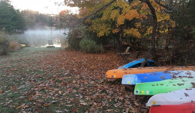 Private safe lakefront cottage that offers kayaking, and tennis.
