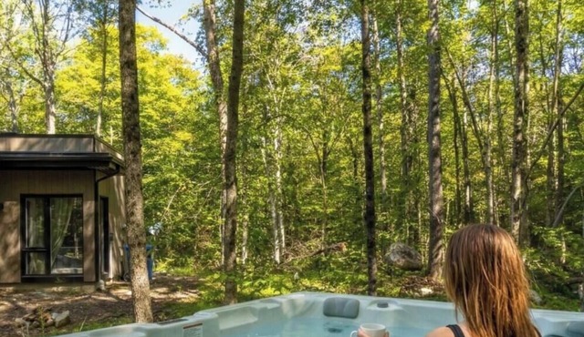 Private Spa | Hiking | Skiing | Mini - Prime Hill