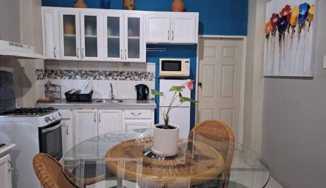 Private Studio. AC/Internet/Cable near UWI/Airport. Quiet suburban neighborhood.