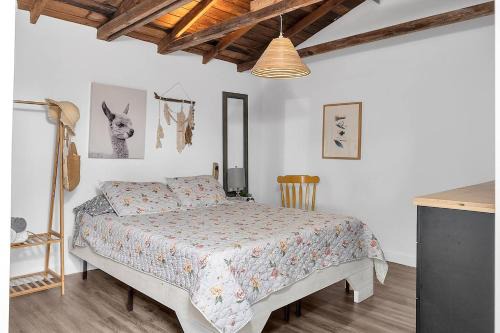 Private Studio Cabin steps from Calle 8