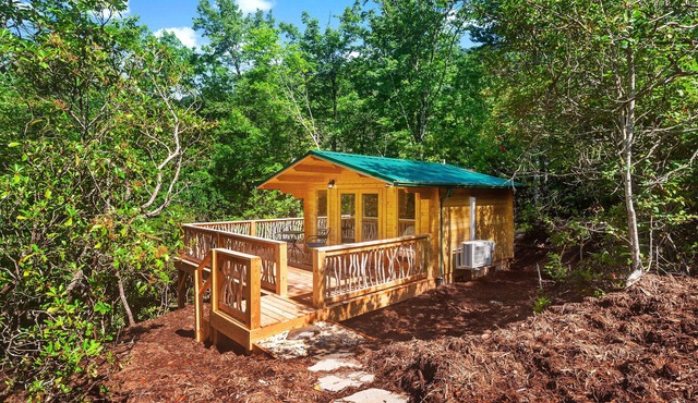 PRIVATE Tiny Cabin+90 acres of hiking+baby goats