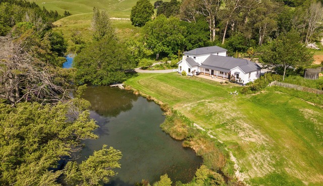 Private Wing at Te Rangi Lodge with own entrance 5 minutes of SH2. Pet friendly.