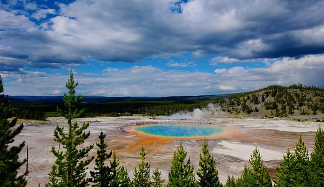 Private Yellowstone Tour: ICONIC Sites, Wildlife, Family Friendly Hikes + lunch