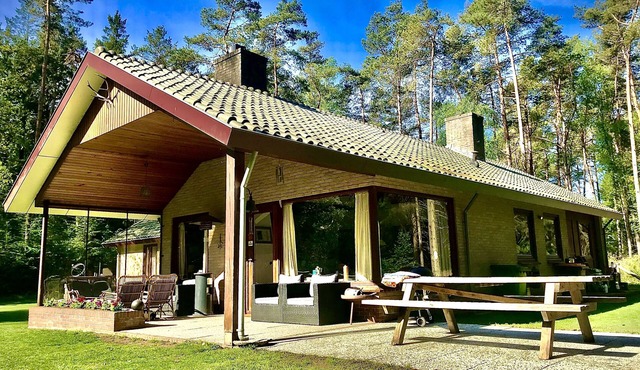 Privately situated bungalow with tennis court in the middle of the Veluwe forest