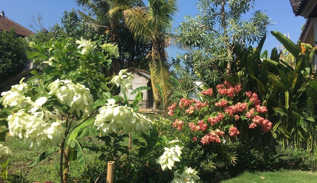 PrivateTraditional Bali Bungalow with large pool and beautiful garden