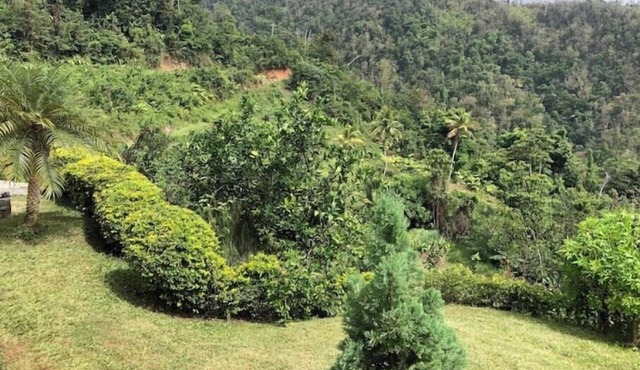 Providence ,Charming 3-bedroom cottage with WiFi and AC in Mahaut.