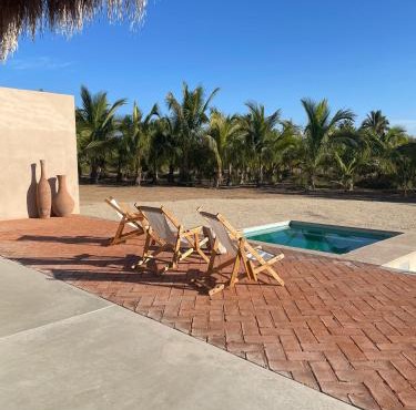 Proyecto Palmita