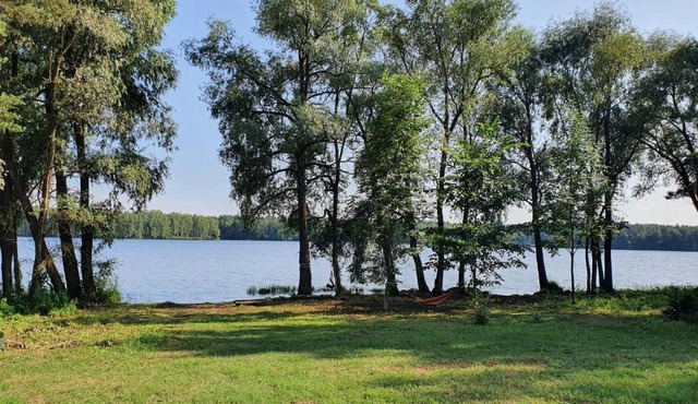 Pupiņi