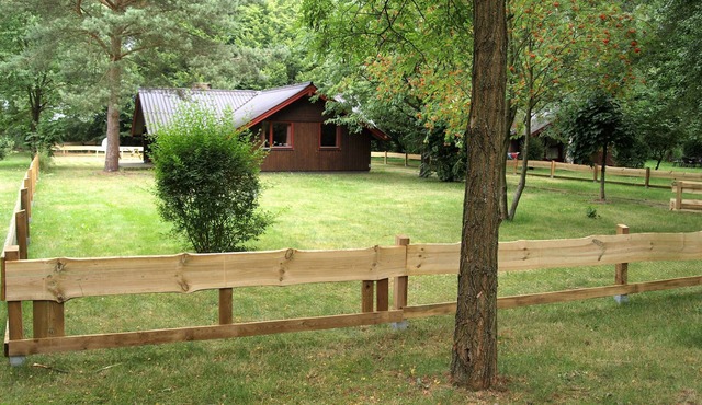 Pure relaxation: Holidays with children and dogs in nature
