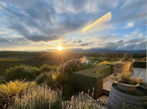 Quail Run Cottage with stunning vineyard views