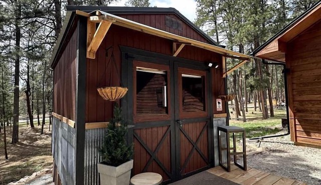 Quaint Rustic Cabin Surrounded by Nature in Black Forest, Colorado