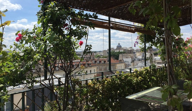 Quartier Latin, beautiful apartment, superb views, quiet, large terrace