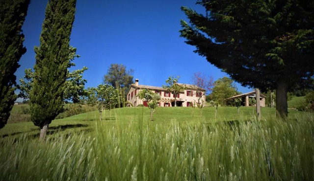 Quelli del Picchio
