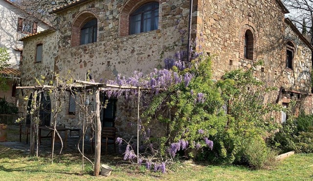 Quiet country house with pets allowed