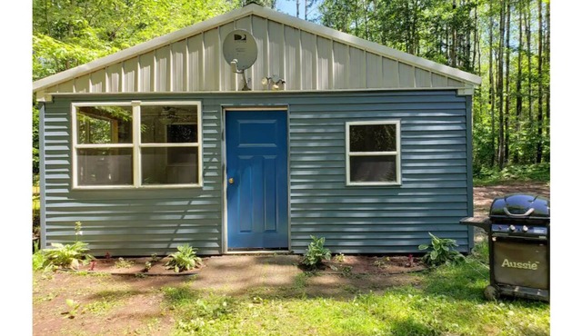 Quiet cabin in the woods
