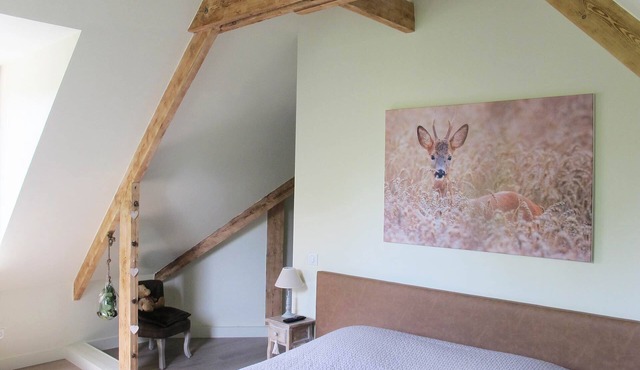 Quiet Chambre des Daims
