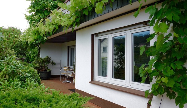 Quiet charming apartment overlooks the vineyards!