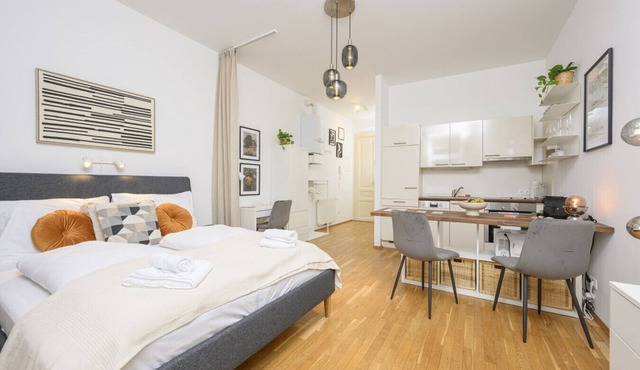 Quiet & Comfortable Studio Apartment in Vienna