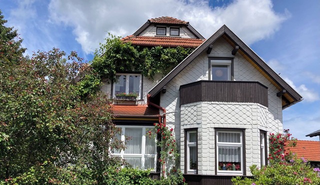 Quiet, cozy apartment in the center of Bad Tabarz