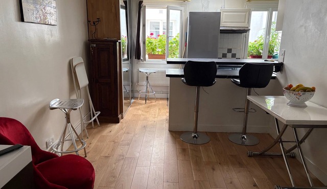 Quiet duplex in the center of Paris