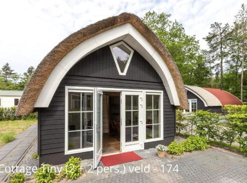 Quiet Family Forest Hideaway