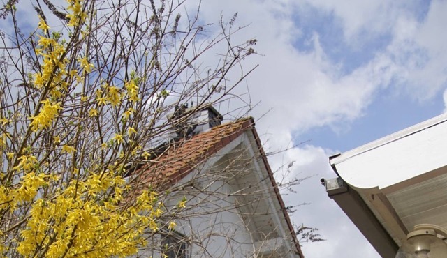 quiet flat for a couple or little family with beautiful views
