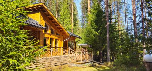 Quiet Lakeside Forest Escape