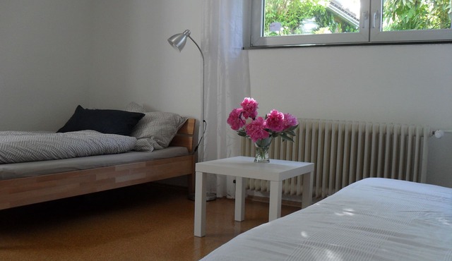 Quiet non-smoking vacation apartment w beautiful garden in Freiburg-Gundelfingen