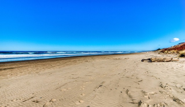 Quiet Oceanfront Getaway with Ocean Views, Walk to Beach - Dogs Welcome