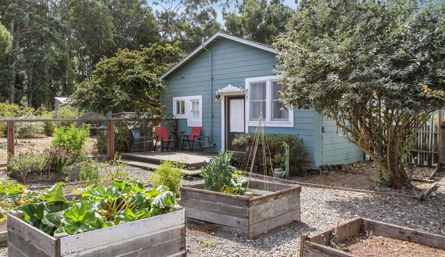 Quiet, quaint, quintessential cottage in Solitude with kitchenette & free WiFi