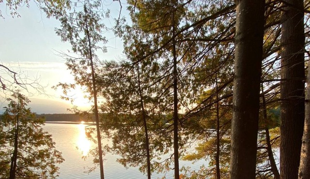 Quiet retreat on pristine lake with 700 ft of waterfront