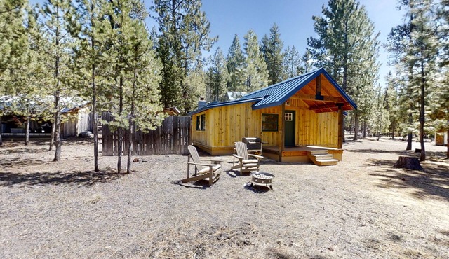 Quiet, secluded cabin among the pines with firepit, great for outdoor adventures