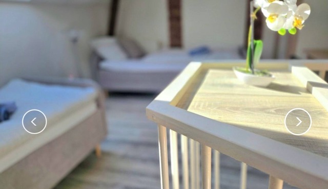 "Quiet, separate rear house - 2 beds & kitchen, 5 min to Frankfurt"