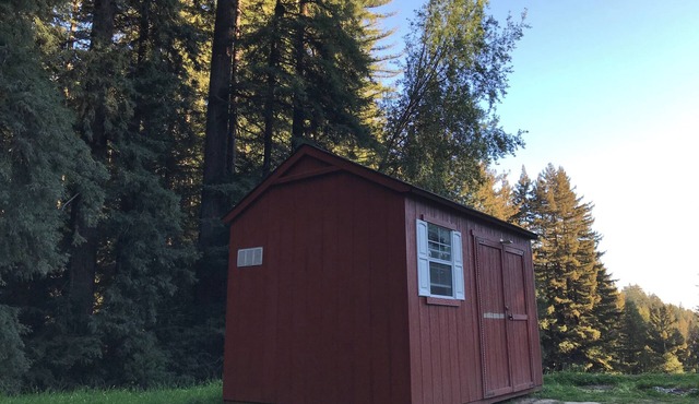 Quiet Small Rustic Camping Cabin, Large Lot, Redwoods in 45acre Mountain Retreat