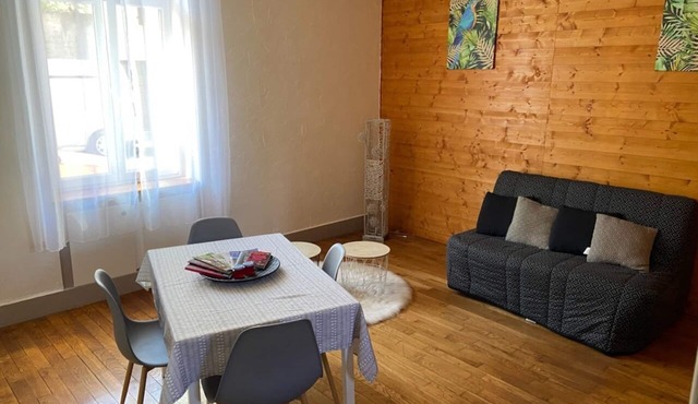 Quiet & Spacious flat-1★ -T2 – Dijon Wilson/Colombière – Sleeps 4