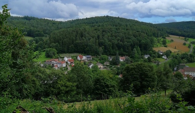 Quiet, spacious maisonette apartment (6pers.) 2bathrooms, 2balconies 30km to Heidelberg