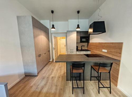 Quiet Studio in Hip Zizkov