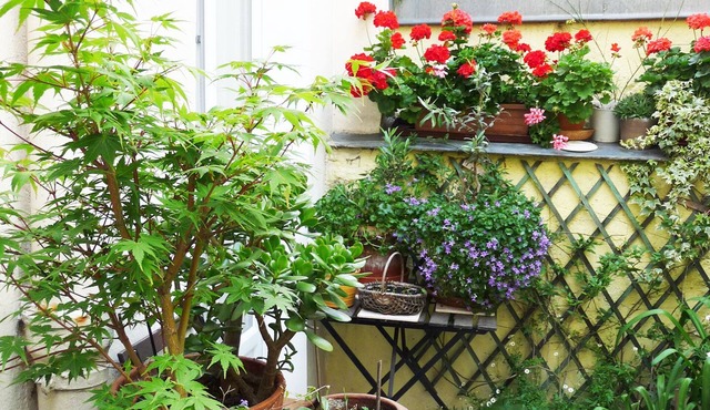 Quiet studio on courtyard Paris 14th near Montparnasse, 25 m2