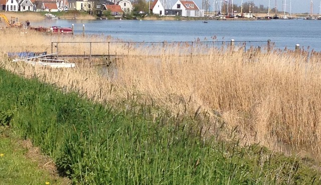 quiet studio on the IJsselmeer