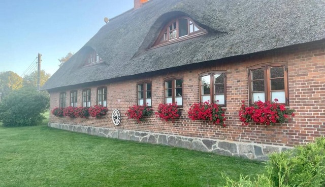 Quiet vacation apartment near the Baltic Sea