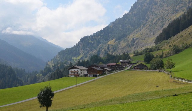 Quiet vacation on the mountain farm