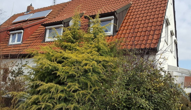 Quietly located semi-detached house with terrace near the forest