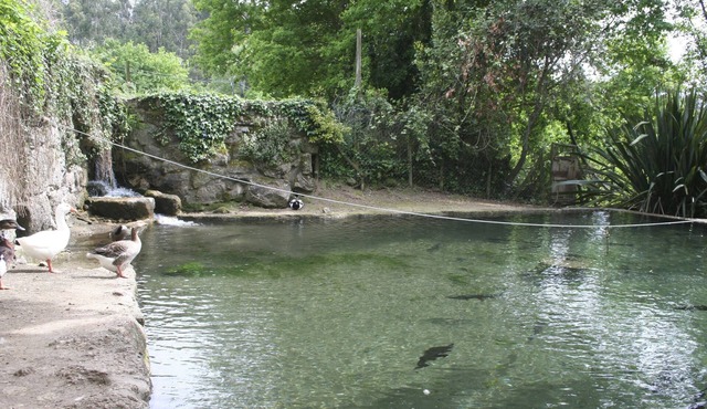 Quinta DA Eira - Relaxe no Campo
