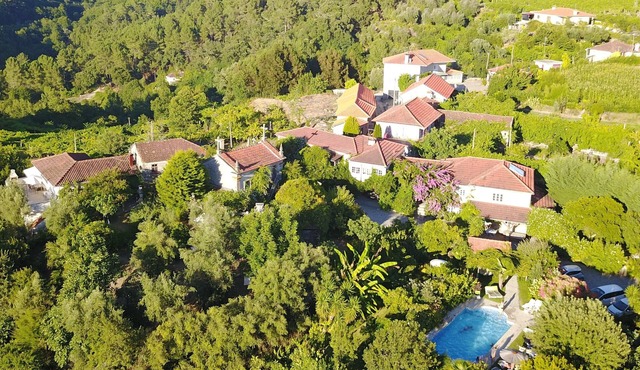 QUINTA DE RIBAS - LES OLIVIERS - QUIET GITE SURROUNDED BY GREENERY