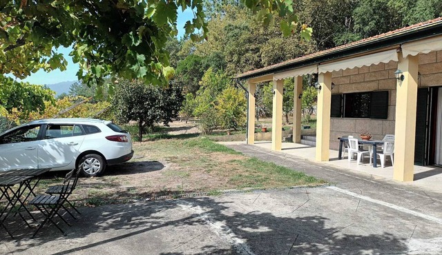 Quinta do Olival -Douro Valley