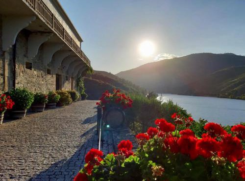 Quinta do Tedo