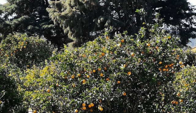 Quinta Nova – Charming Guest House – Arrábida