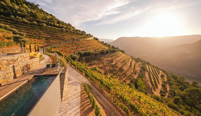 Quinta Vale de Lobos Douro