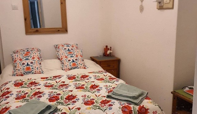 Quirky, character guestroom in loam cottage in rural Hungary with outdoor pool
