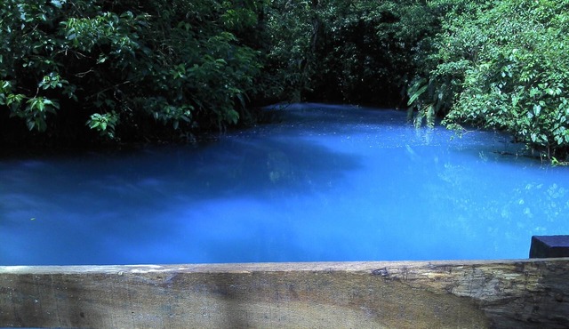 Río Celeste Katira, Private room overlooking Green Areas